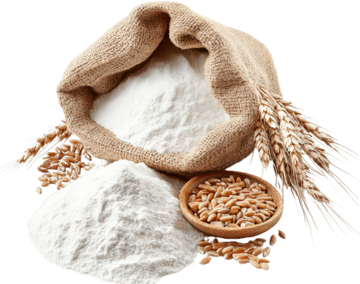 Wheat Flour